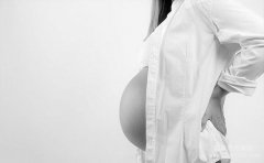 孕妇一次吃多少克燕窝？,在新加
