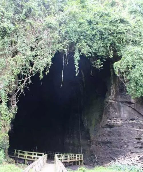 马来西亚最大的洞燕产地——京那巴当岸哥曼东洞